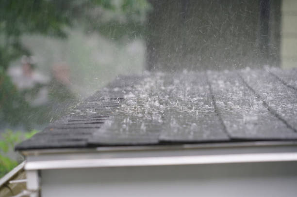 Best Roof Ventilation Installation  in Vernon Valley, NJ